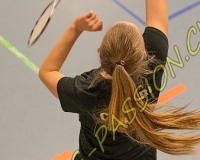 1BULLMINTON - 0574